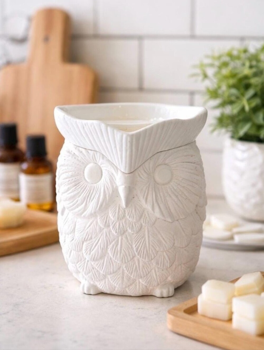 Whoot Wax Warmer • Retired BNIB